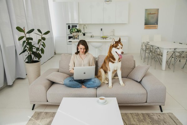 Transformez Votre Espace avec un Rangement Décoratif Sur-Mesure : L'Art de la Personnalisation À Domicile